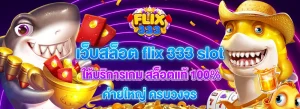 FLIX333